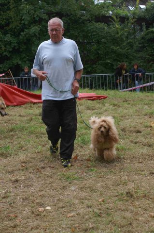 foire-haricots 2011-09-17et18